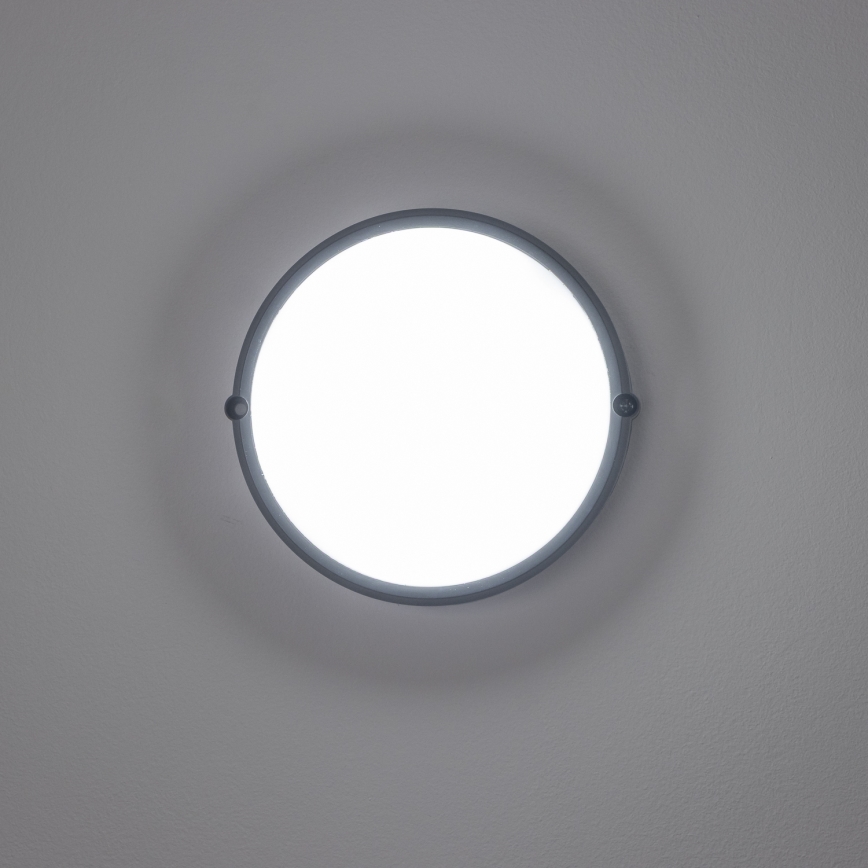 Brilagi - LED Ceiling industrial light SIMA LED/12W/230V IP65 black