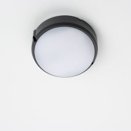 Brilagi - LED Ceiling industrial light SIMA LED/12W/230V IP65 black