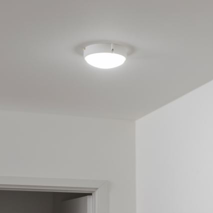 Brilagi - LED Ceiling industrial light SIMA LED/12W/230V IP65 white