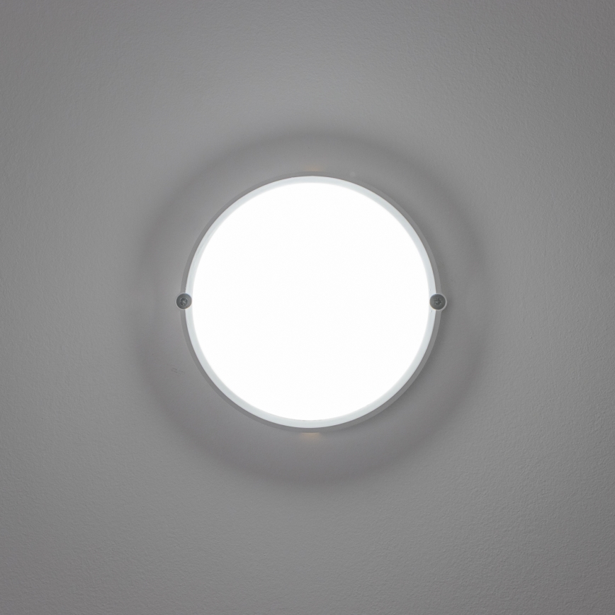 Brilagi - LED Ceiling industrial light SIMA LED/12W/230V IP65 white