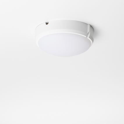 Brilagi - LED Ceiling industrial light SIMA LED/12W/230V IP65 white