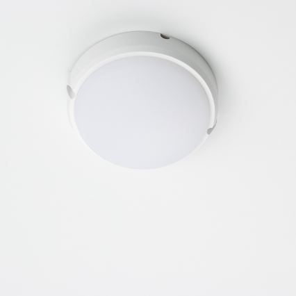 Brilagi - LED Ceiling industrial light SIMA LED/12W/230V IP65 white