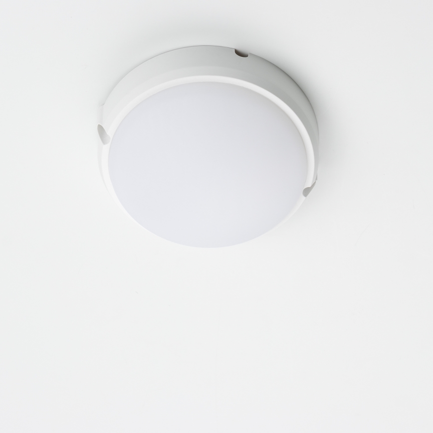 Brilagi - LED Ceiling industrial light SIMA LED/12W/230V IP65 white