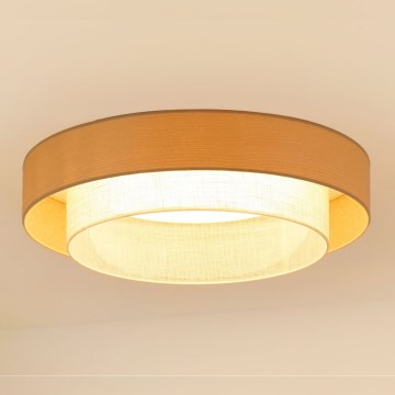 Brilagi - LED Ceiling light ARIZONA BOHO LED/26W/230V d. 60 cm beige