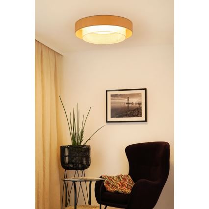 Brilagi - LED Ceiling light ARIZONA BOHO LED/26W/230V d. 60 cm beige