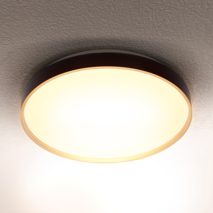 Brilagi - LED Ceiling light CALA LED/24W/230V