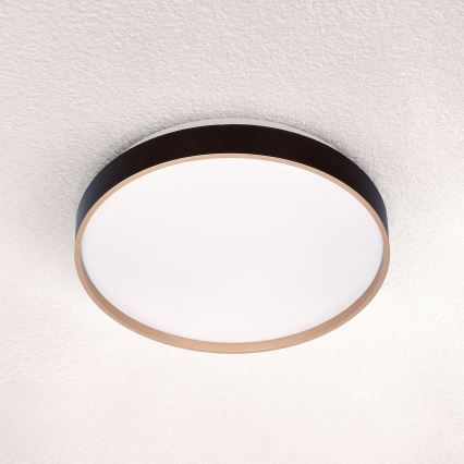 Brilagi - LED Ceiling light CALA LED/24W/230V