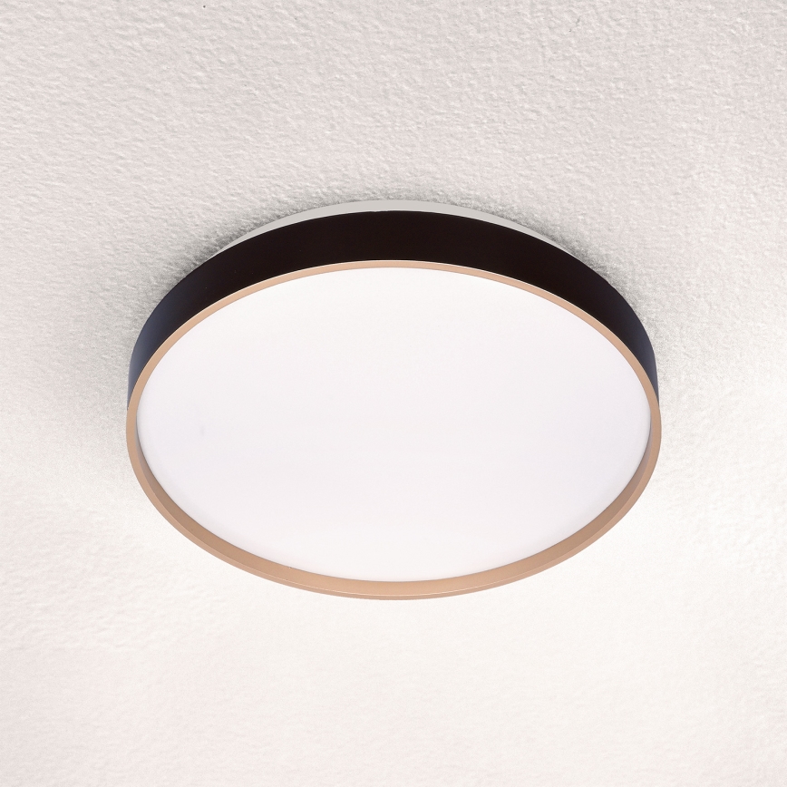 Brilagi - LED Ceiling light CALA LED/24W/230V