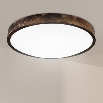 Brilagi - LED Ceiling Light CARVALHO SLIM SMOKEY LED/36W/230V oak Ø 47.5 cm