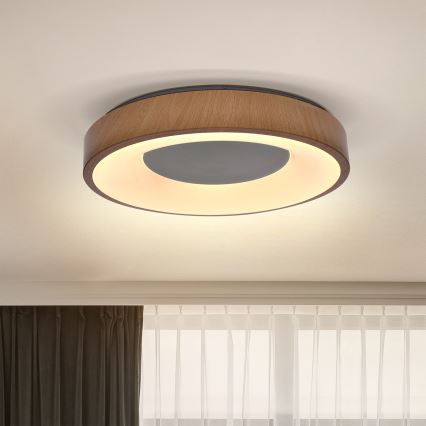 Brilagi - LED Ceiling light DORIA LED/24W/230V