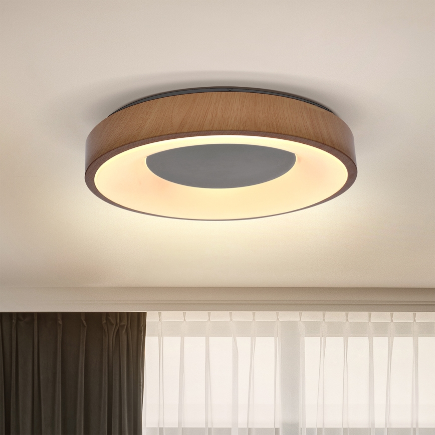 Brilagi - LED Ceiling light DORIA LED/24W/230V