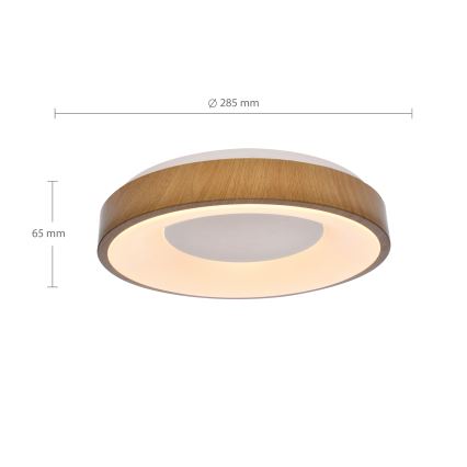 Brilagi - LED Ceiling light DORIA LED/24W/230V