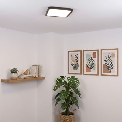 Brilagi - LED Ceiling Light ESTELA SQUARE LED/24W/230V 31x31 cm black