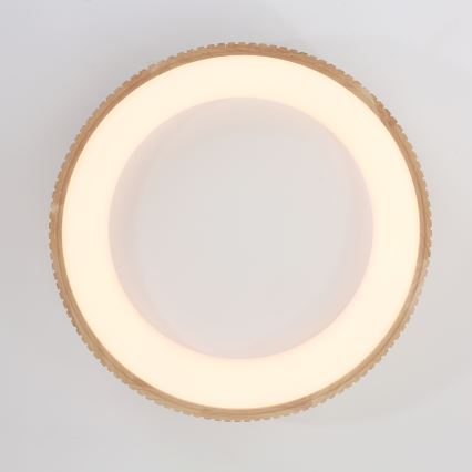 Brilagi - FALCON WOOD MODERN LED Ceiling Light 40W/230V 3000/4000/6000K Ø 60 cm Wood