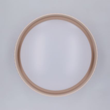 Brilagi - LED Ceiling Light LUCIA LED/24W/230V Ø 31 cm Beige