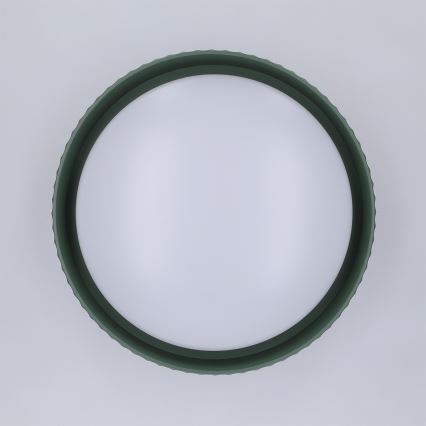 Brilagi - LED Ceiling Light LUCIA LED/24W/230V Ø 31 cm Green