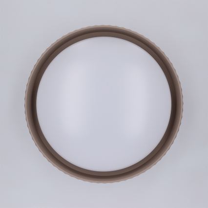 Brilagi - LED Ceiling Light LUCIA LED/24W/230V Ø31 cm brown
