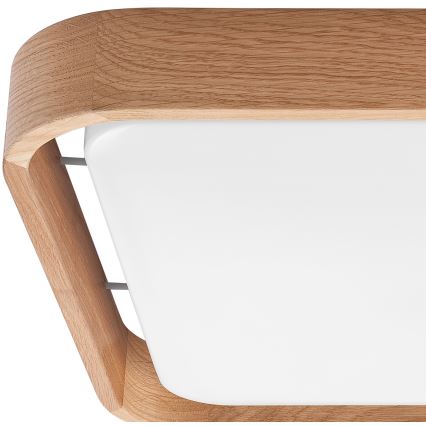 Brilagi - LED Dimmable ceiling light MANAROLA CUBIC LED/24W/230V 3000-6500K oak + remote control