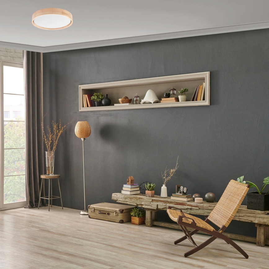 Brilagi - LED Dimmable ceiling light MANAROLA SMART LED/24W/230V 2700-6500K d. 41 cm Wi-Fi + remote control Tuya