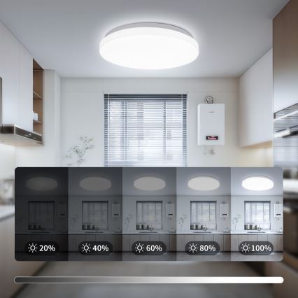 Brilagi - LED Ceiling Light MILKY WAY LED/24W/230V 3000/4000/6500K Ø 38 cm