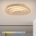 Brilagi - LED Ceiling Light MODERN MINI LED/28W/230V 3000/4500/6000K 29.8 x 25.1 cm
