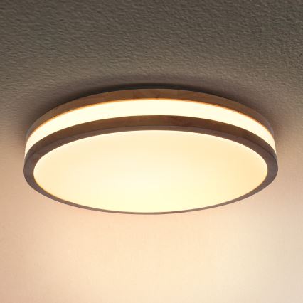 Brilagi - LED Ceiling light MOLINA LED/24W/230V oak