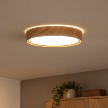 BRILAGI - LED Ceiling Light NATURA LED/12W/230V 4000K Ø 26.3 cm