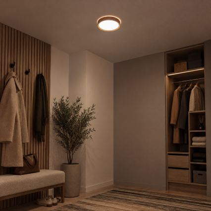 BRILAGI - LED Ceiling Light NATURA LED/12W/230V 4000K Ø 26.3 cm