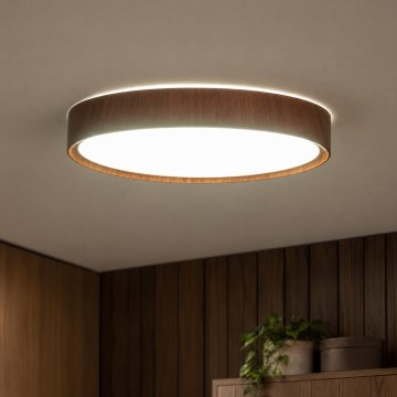 BRILAGI - LED Ceiling Light NATURA LED/20W/230V 4000K Ø 33,7 cm