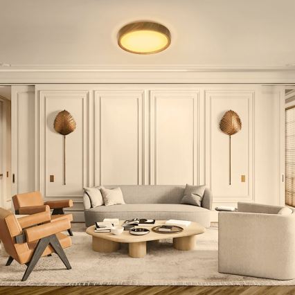 BRILAGI - LED Ceiling Light NATURA LED/20W/230V 4000K Ø 33,7 cm