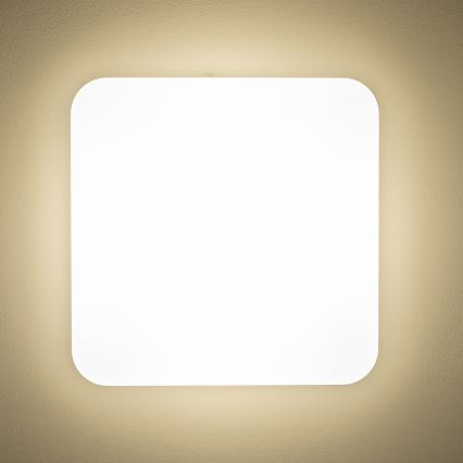 Brilagi - LED Ceiling light PLAIN LED/24W/230V 3000K