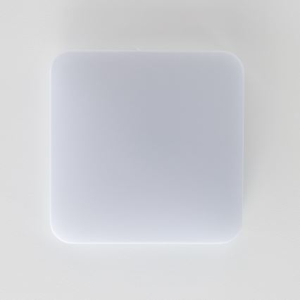 Brilagi - LED Ceiling light PLAIN LED/24W/230V 3000K
