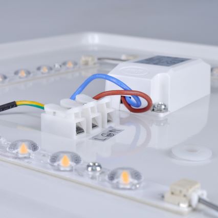 Brilagi - LED Ceiling light PLAIN LED/24W/230V 3000K
