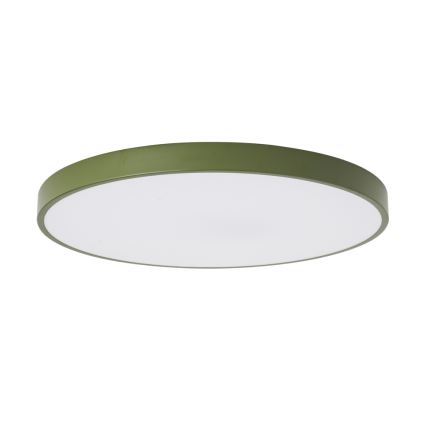 Brilagi - POOL LED Ceiling Light, 100W, 230V, 3000/4000/6000K, Ø 80 cm, Green