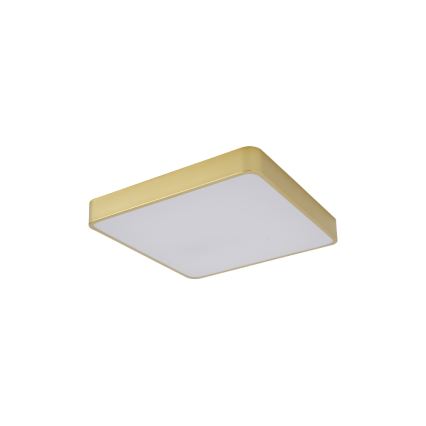 Brilagi - LED Ceiling Light POOL LED/36W/230V 3000/4000/6000K 40x40 cm gold