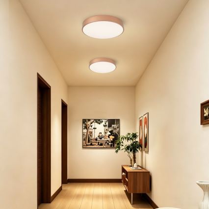 BRILAGI - LED Ceiling Light POOL LED/48W/230V 3000/4000/6000K Ø 40 cm Copper