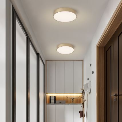 BRILAGI - LED Ceiling Light POOL LED/48W/230V 3000/4000/6000K Ø 40 cm Gold