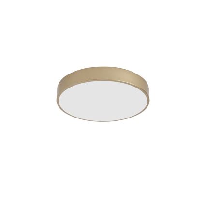 BRILAGI - LED Ceiling Light POOL LED/48W/230V 3000/4000/6000K Ø 40 cm Gold