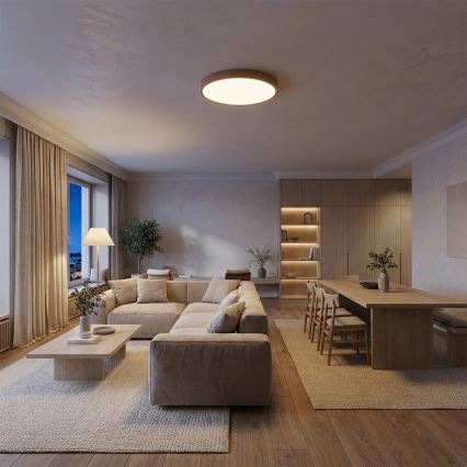 Brilagi - POOL LED ceiling light 48W/230V 3000/4000/6000K Ø 40 cm wood finish