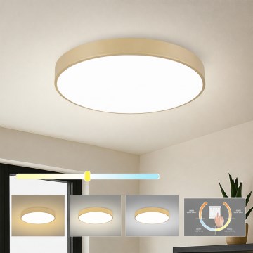 Brilagi - LED Ceiling Light POOL LED/60W/230V 3000/4000/6000K Ø 60 cm beige