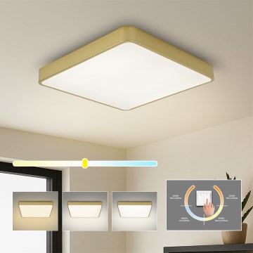 BRILAGI - LED Ceiling Light POOL SQUARE LED/36W/230V 3000/4000/6000K 40x40 cm gold
