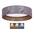 Brilagi - LED Ceiling light VELVET LED/24W/230V d. 40 cm 3000/4000/6400K grey/gold