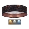 Brilagi - LED Ceiling light VELVET STAR LED/24W/230V d. 40 cm 3000K/4000K/6400K black/copper