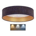 Brilagi - LED Ceiling light VELVET STAR LED/24W/230V d. 40 cm 3000K/4000K/6400K grey/gold