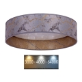 Brilagi - LED Ceiling light VELVET STAR LED/24W/230V d. 40 cm 3000K/4000K/6400K grey/gold