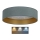 Brilagi - LED Ceiling light VELVET STAR LED/24W/230V d. 40 cm 3000K/4000K/6400K mint/gold