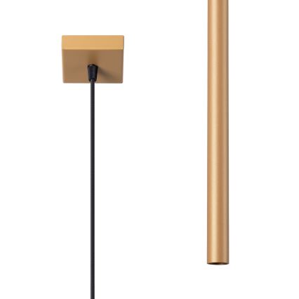 Brilagi - LED Chandelier on a string DRIFA 1xG9/4W/230V gold