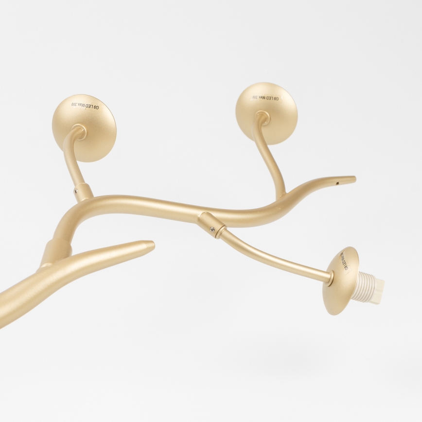 Brilagi - LED Chandelier on a string MISTEL 6xG9/3W/230V gold