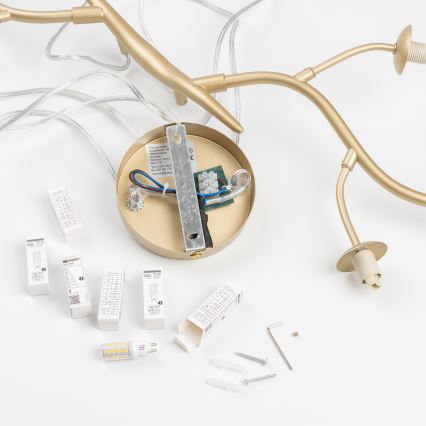 Brilagi - LED Chandelier on a string MISTEL 6xG9/3W/230V gold