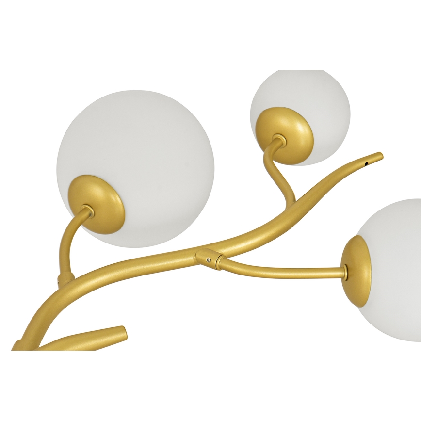 Brilagi - LED Chandelier on a string MISTEL 6xG9/3W/230V gold/white
